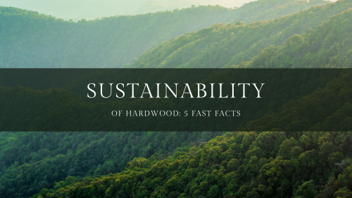 Sustainability of Hardwood Floors: 5 Important Facts - Garrison Collection