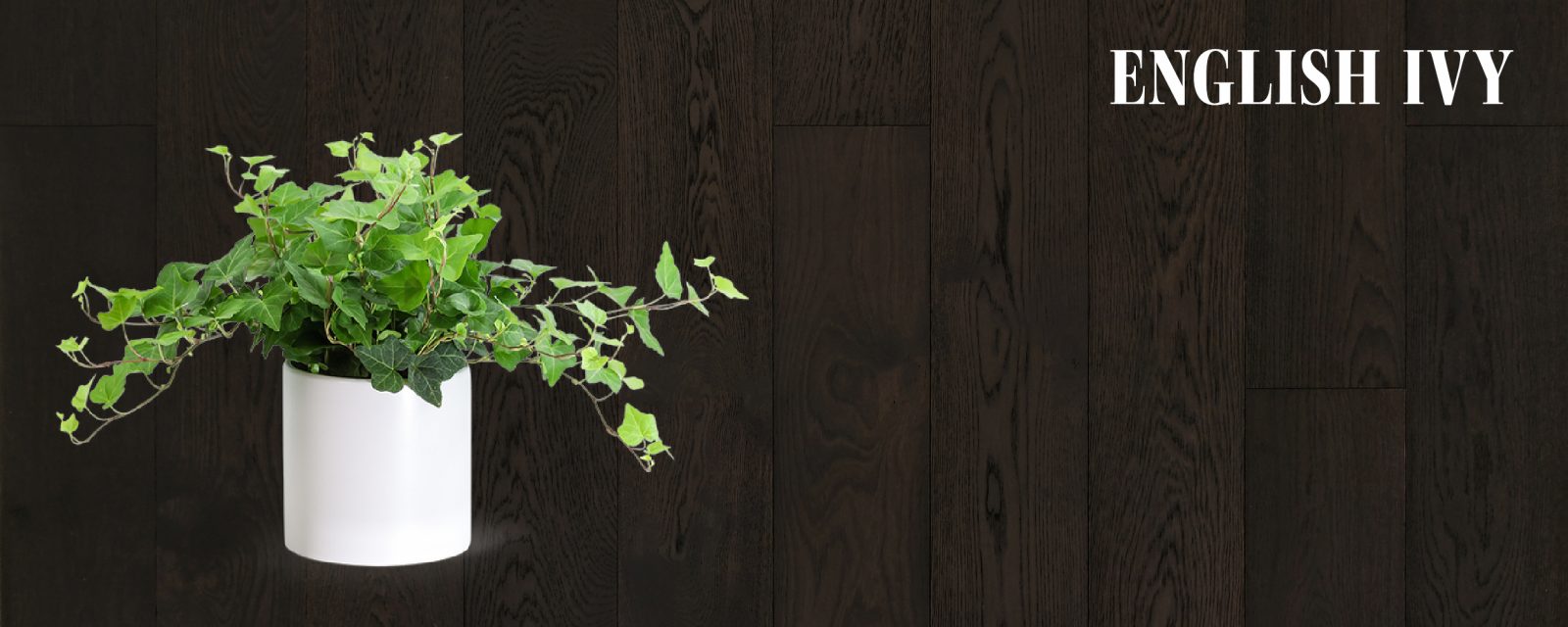 English Ivy and European Oak Hardwood