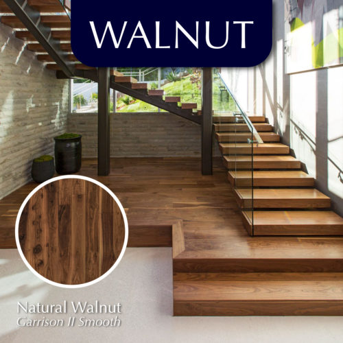 An Introduction to Dark Wood Walnut