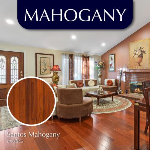 An Introduction to Dark Wood Mahogany