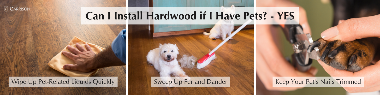 Q&A-Top 5 Questions About Hardwood Flooring-Can I Install Hardwood if I Have Dogs, Cats, or Other Pets