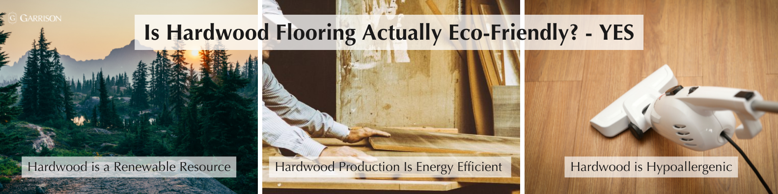 Q&A-Top 5 Questions About Hardwood Flooring-Is Hardwood Flooring Actually Eco-Friendly