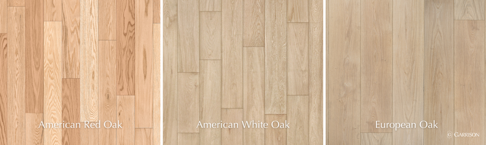 American vs European Oak Coloring and Grain Patterns White Oak Red Oak European Oak