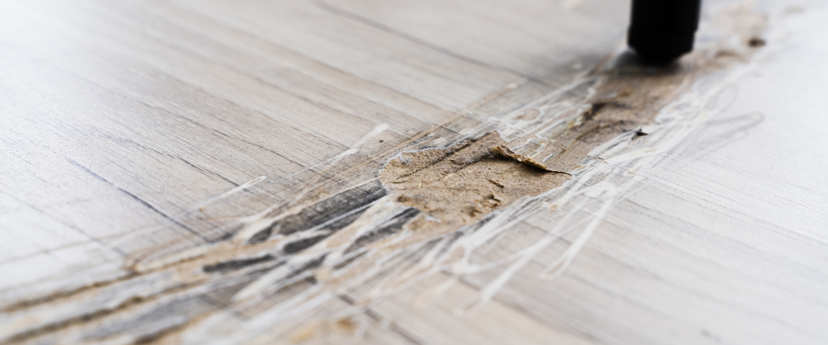 Signs That It's Time to Refinish Your Hardwood Floors - Garrison Collection