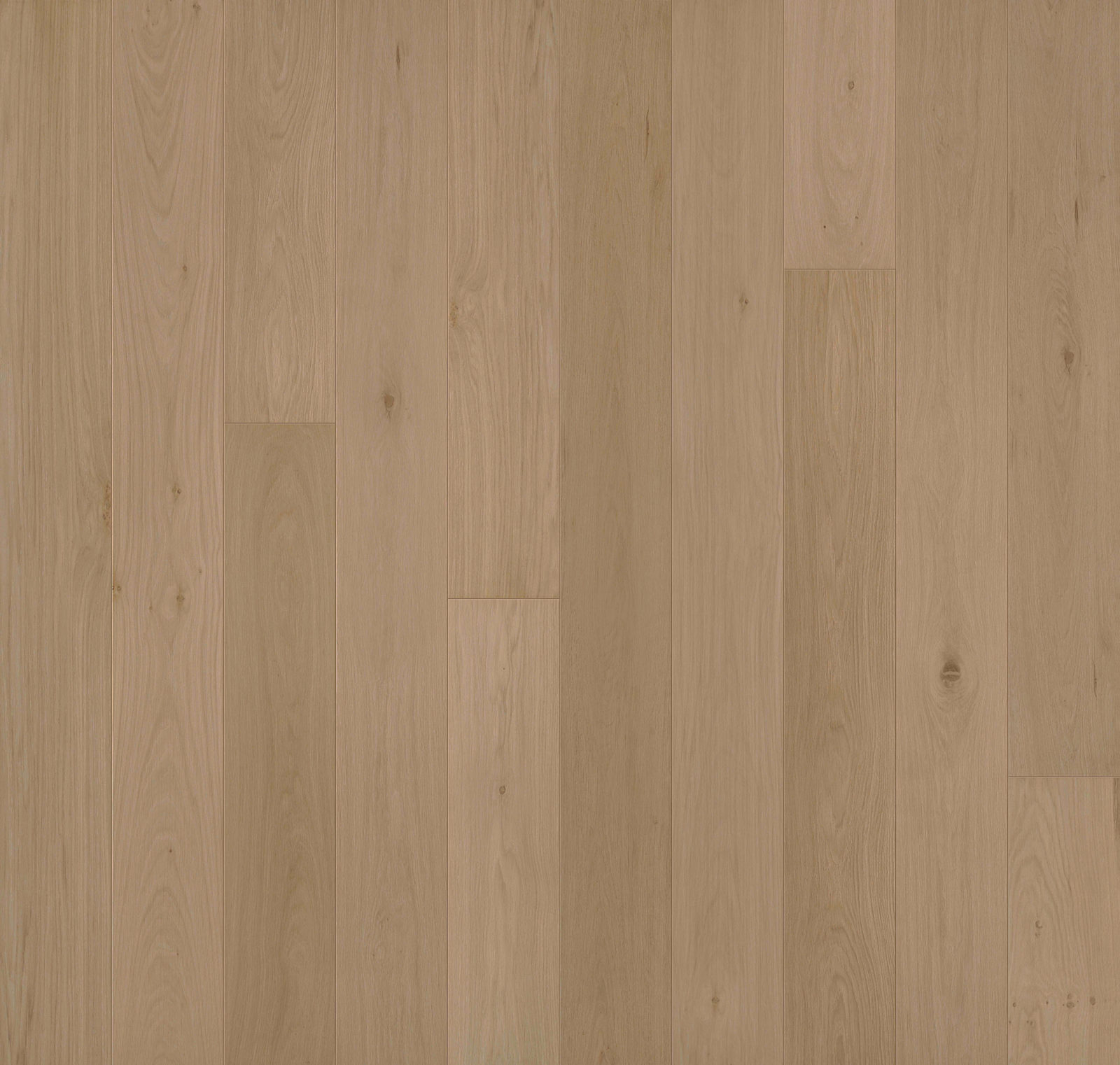 Doma 7-1/2" flooring from the Allora collection